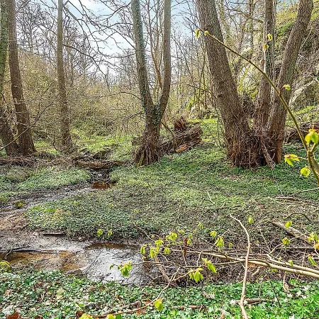 Vakantiehuis Seaside Bliss In Sandkas - By Traum Allinge-Sandvig