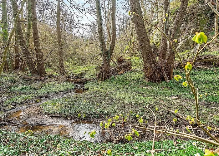 Сasa de vacaciones Seaside Bliss In Sandkas - By Traum Allinge-Sandvig